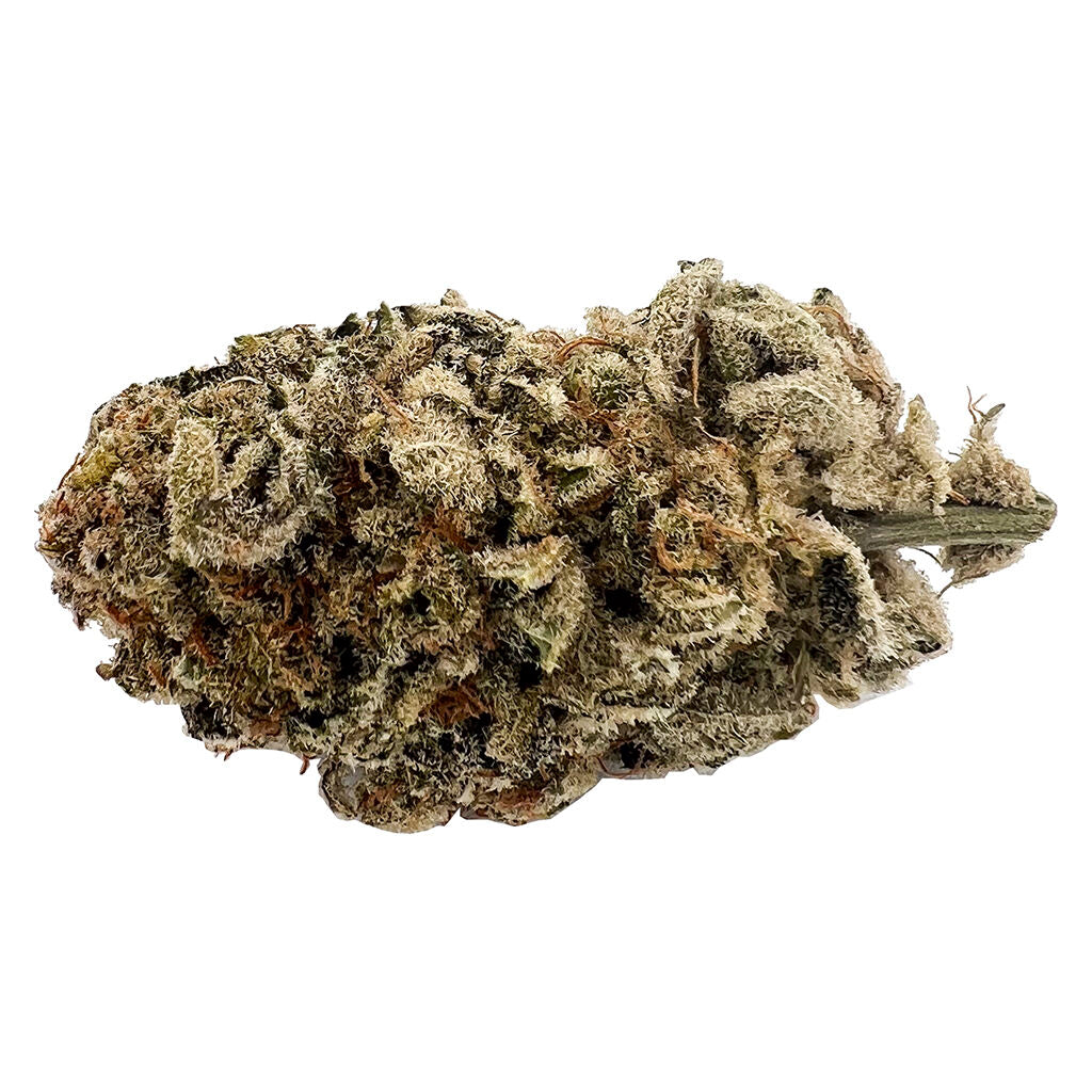 Rotational 1 - Apex OG