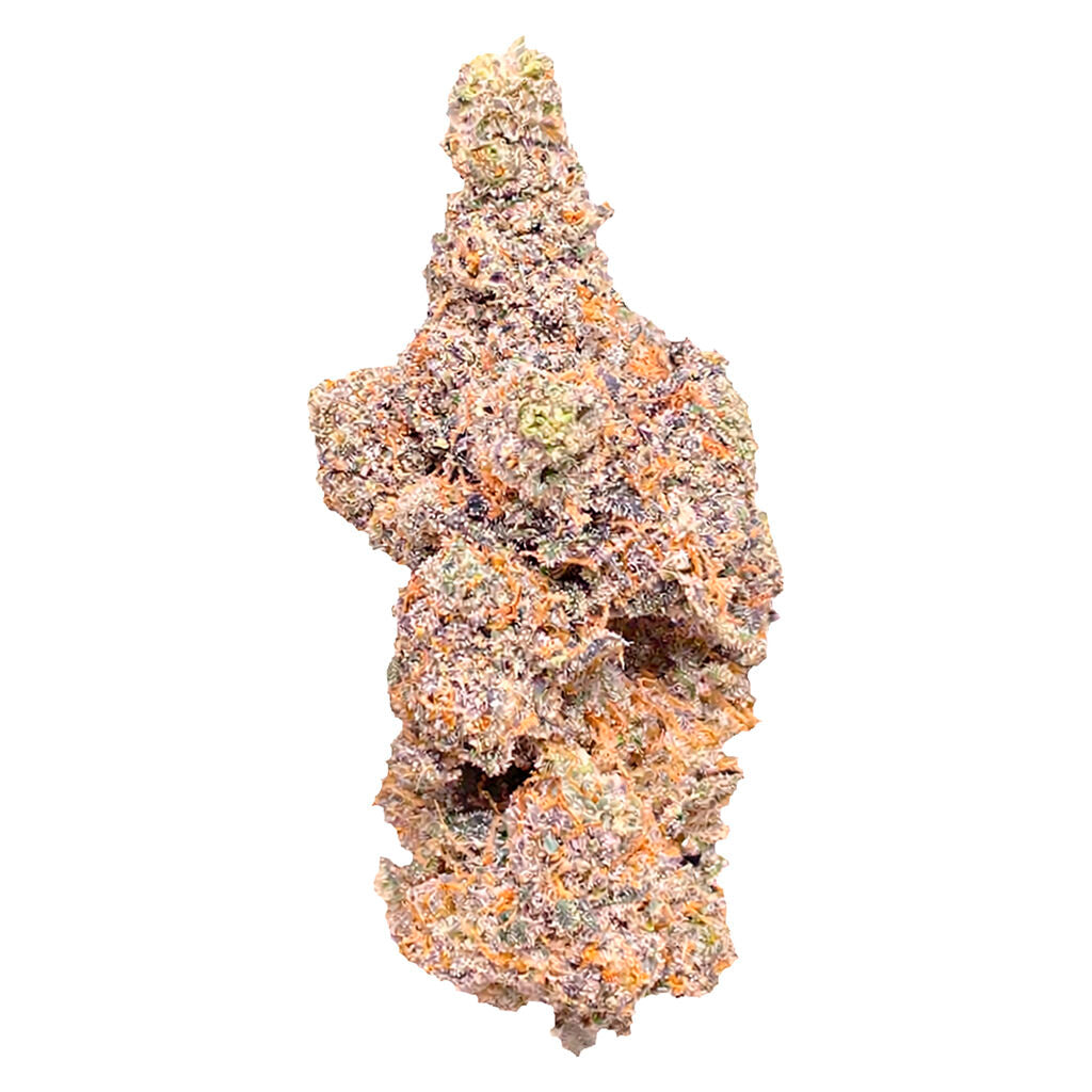 Barrie Exotic - 