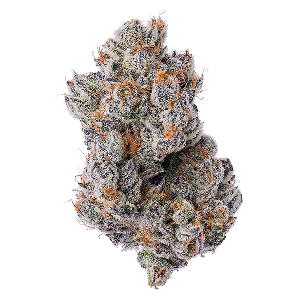 Purple Zushi - 