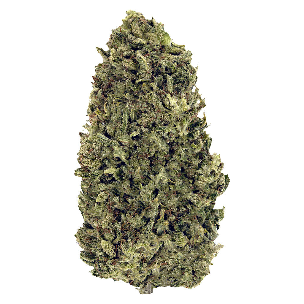 Nostalgia Craft Hemp - 