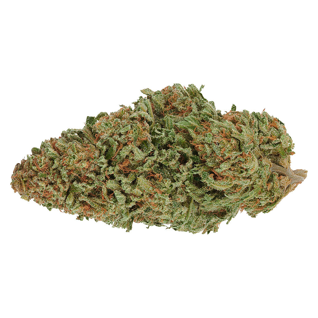 Organic Grand Daddy Purple - 