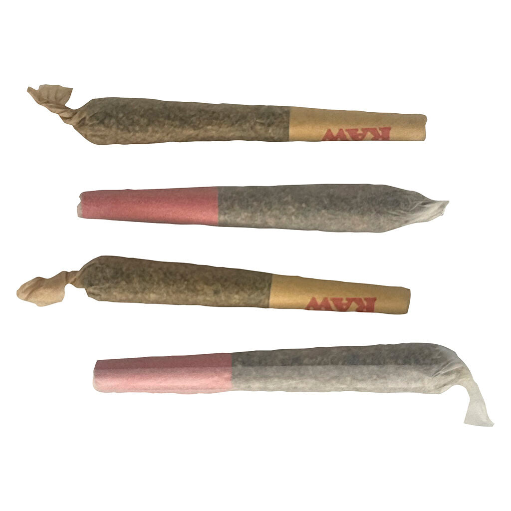 Trick or treat Pre-Roll - 
