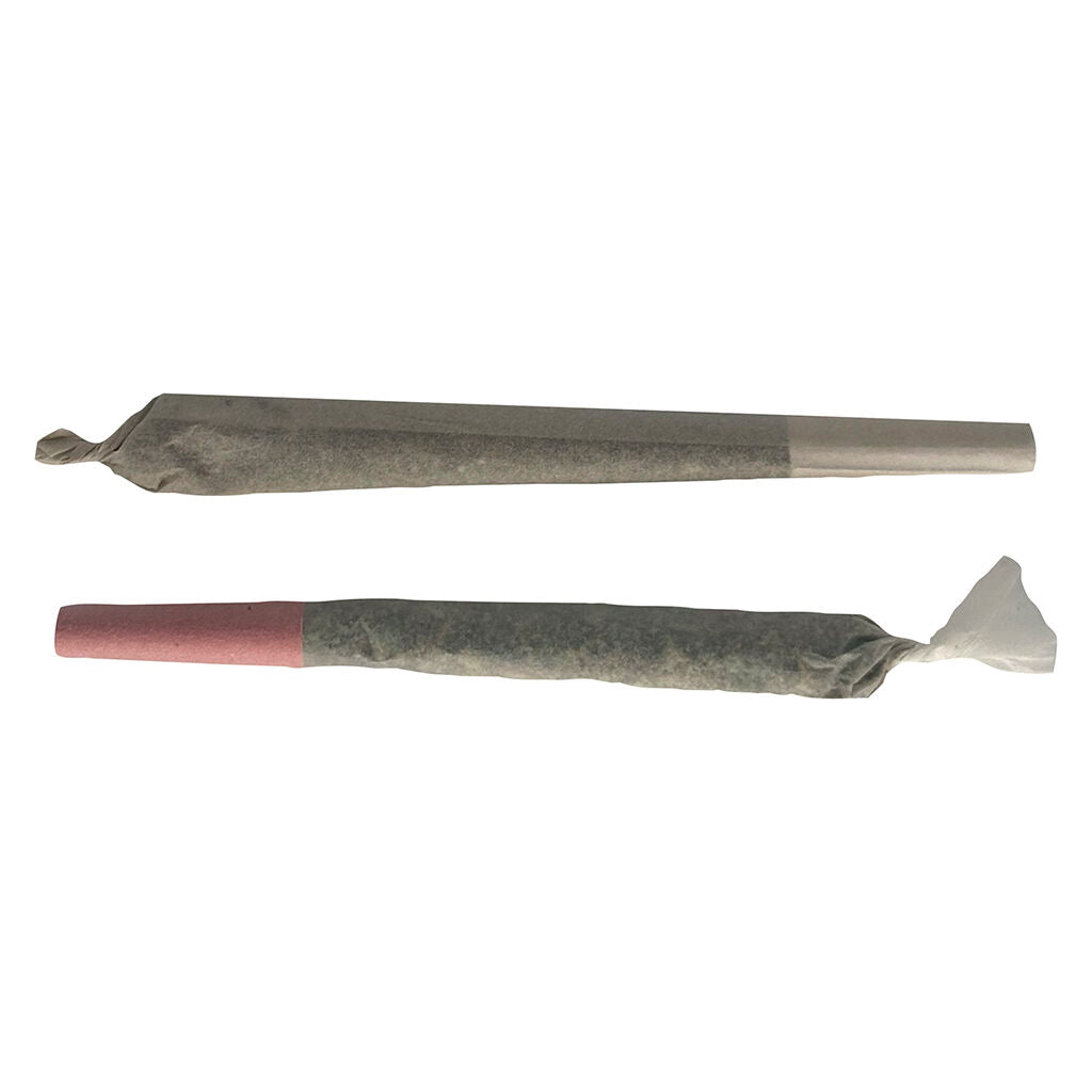 Trick or Treat Pre-Roll - 