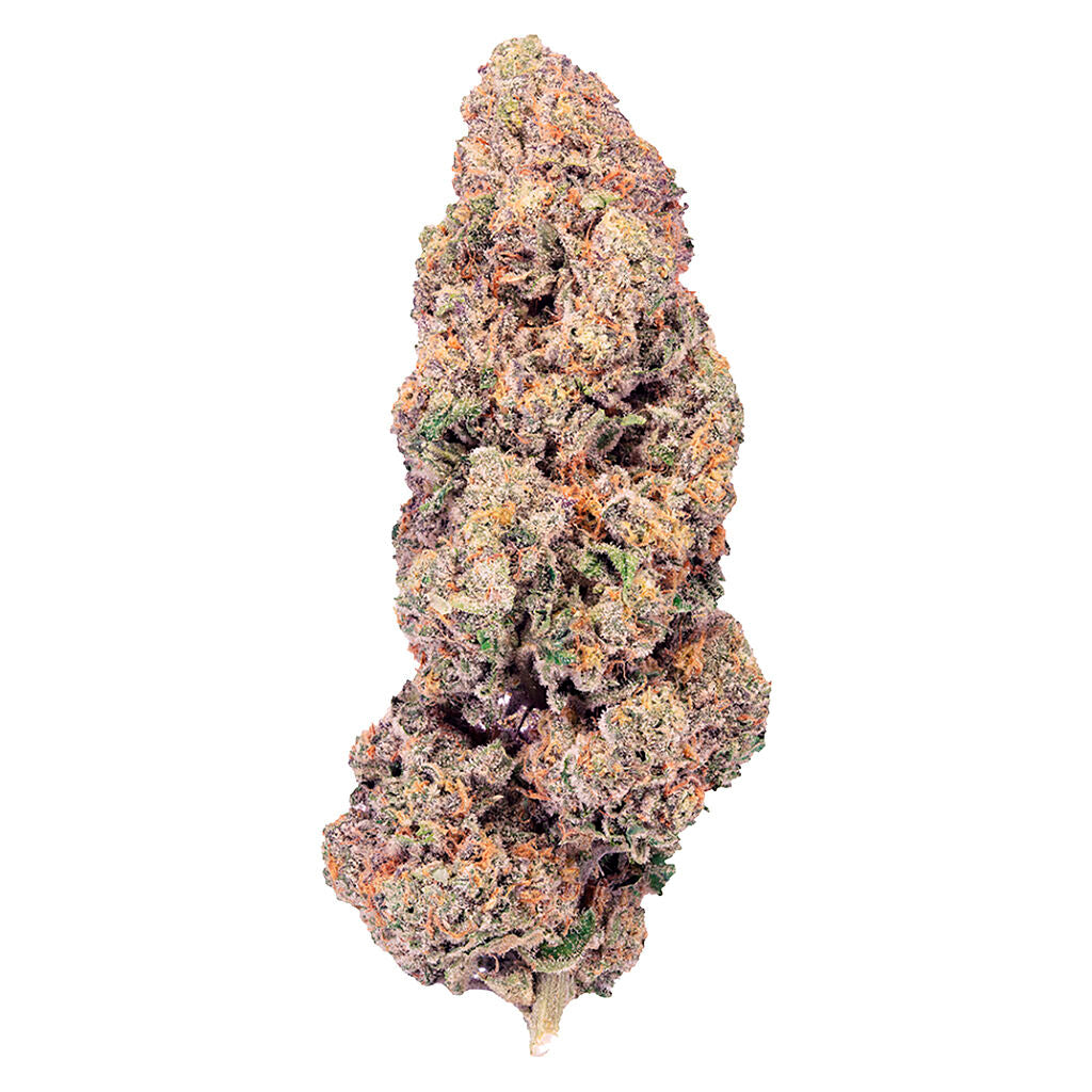 Super Boof - 
