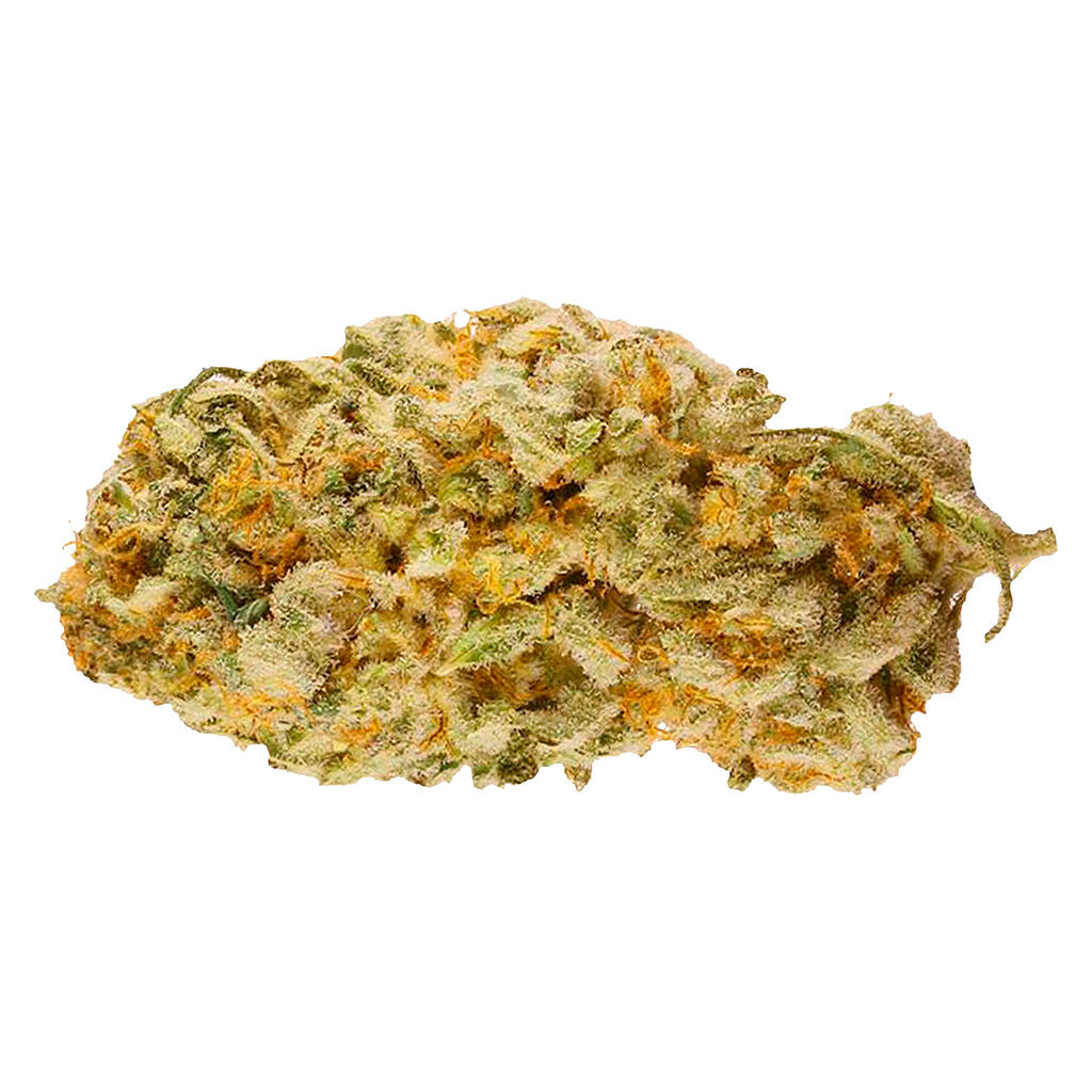 Jack Herer - 