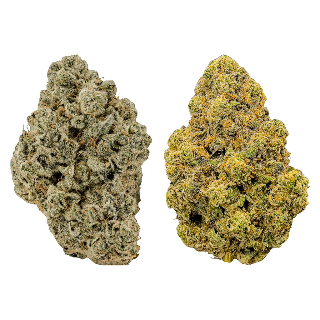 BC Craft Indica Vs. Sativa Discovery Pack - 