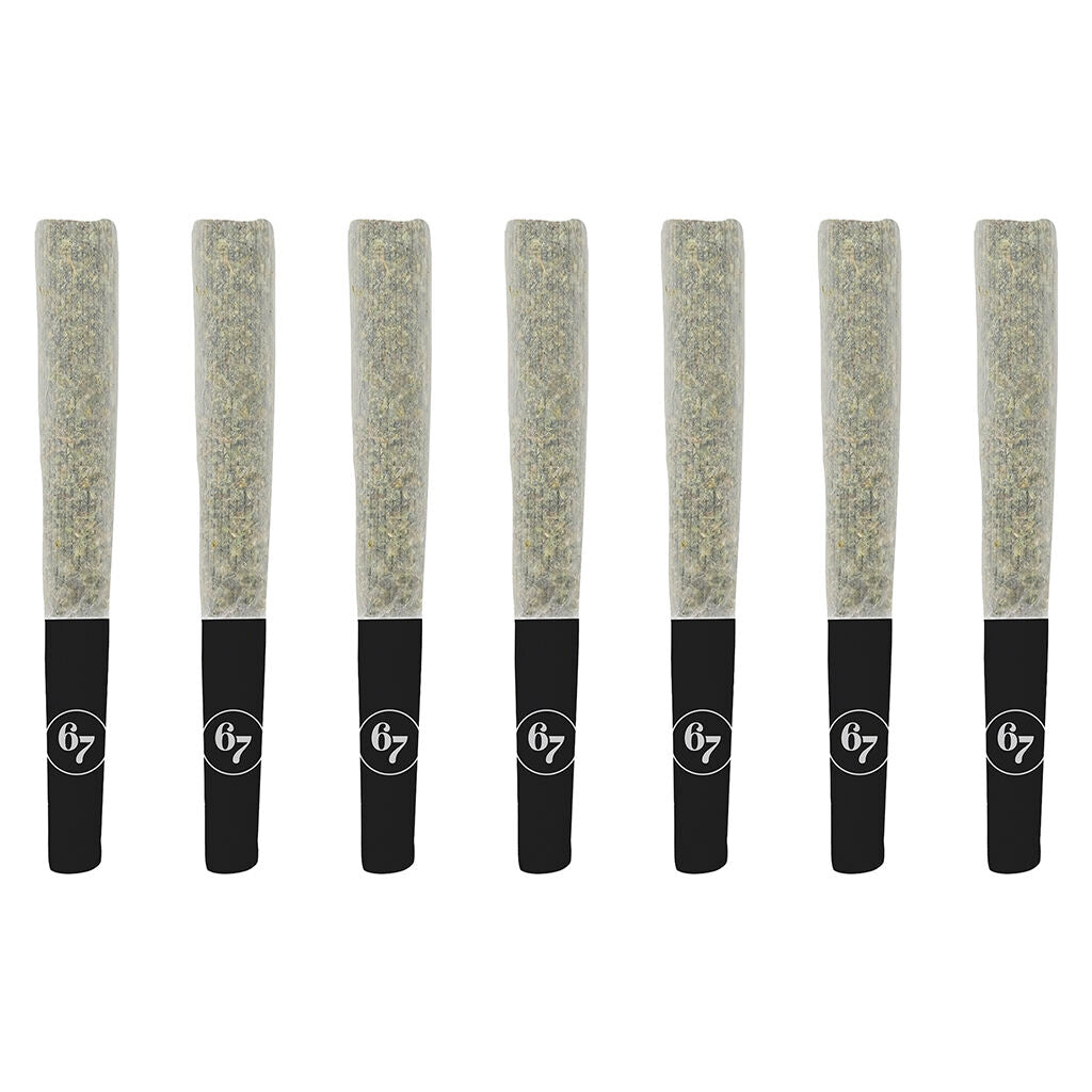 Gas Face Pre-Roll