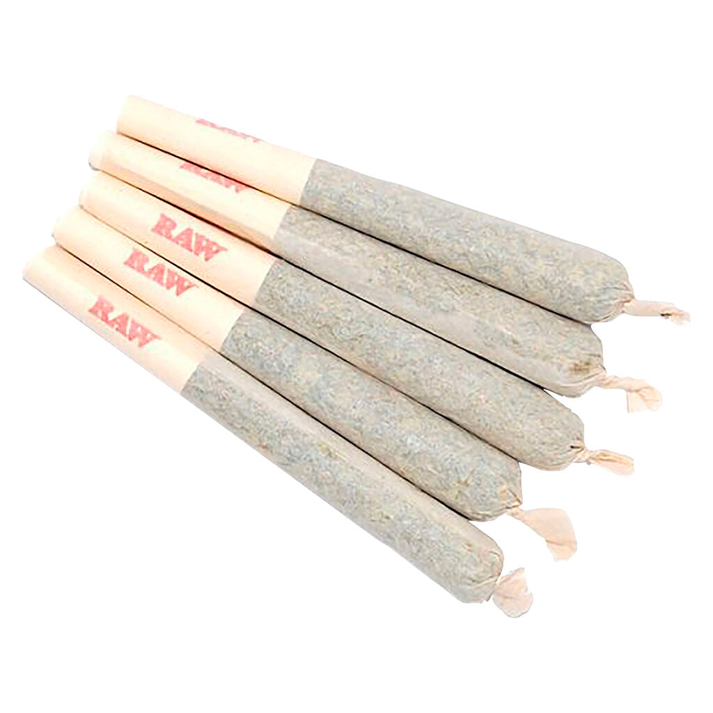 Gary Satan Pre-Roll - 