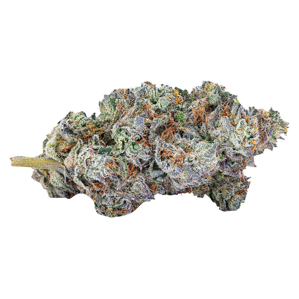 Mind Playa - 