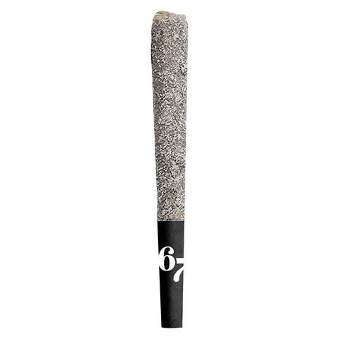 Photo 67 Sindicate Infused Pre-Roll