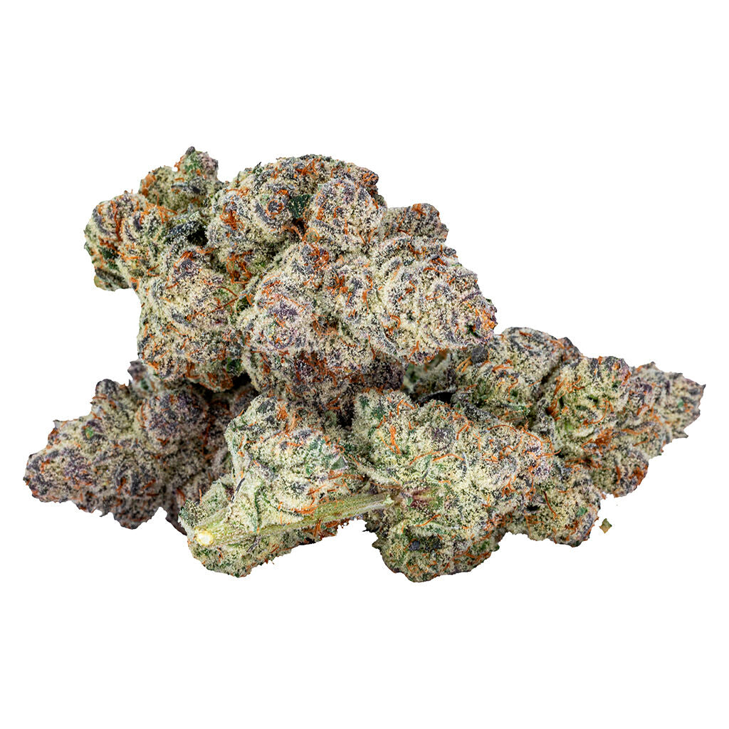 Mind Playa - 