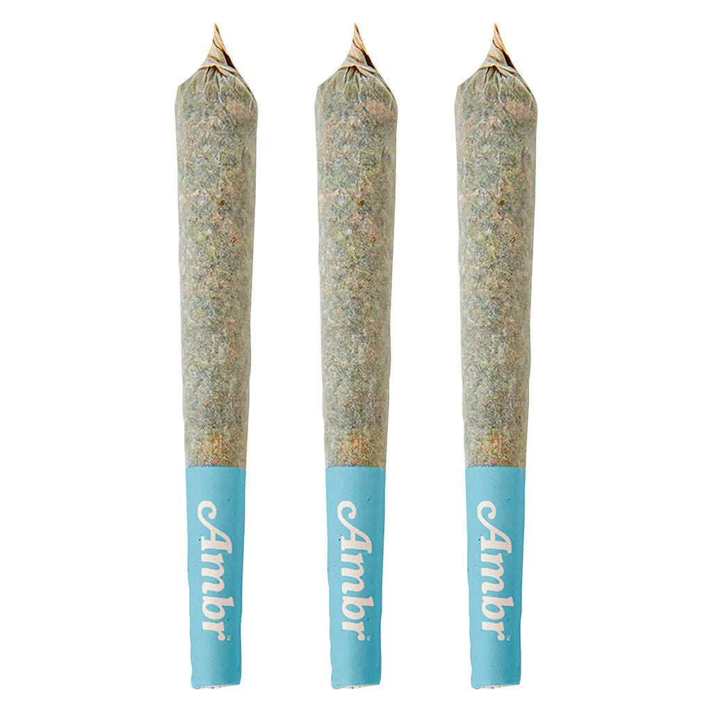 Infused GLTO Pre-Roll Pack - 