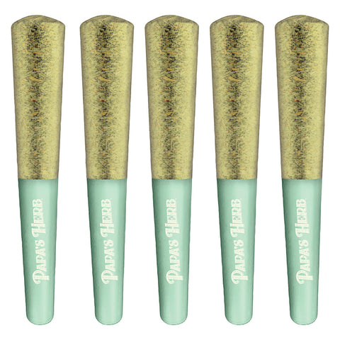 Photo Sativa Jack Herer Infused Pre-Roll