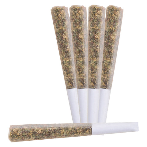 Photo Nova Live Rosin Infused Pre-Roll