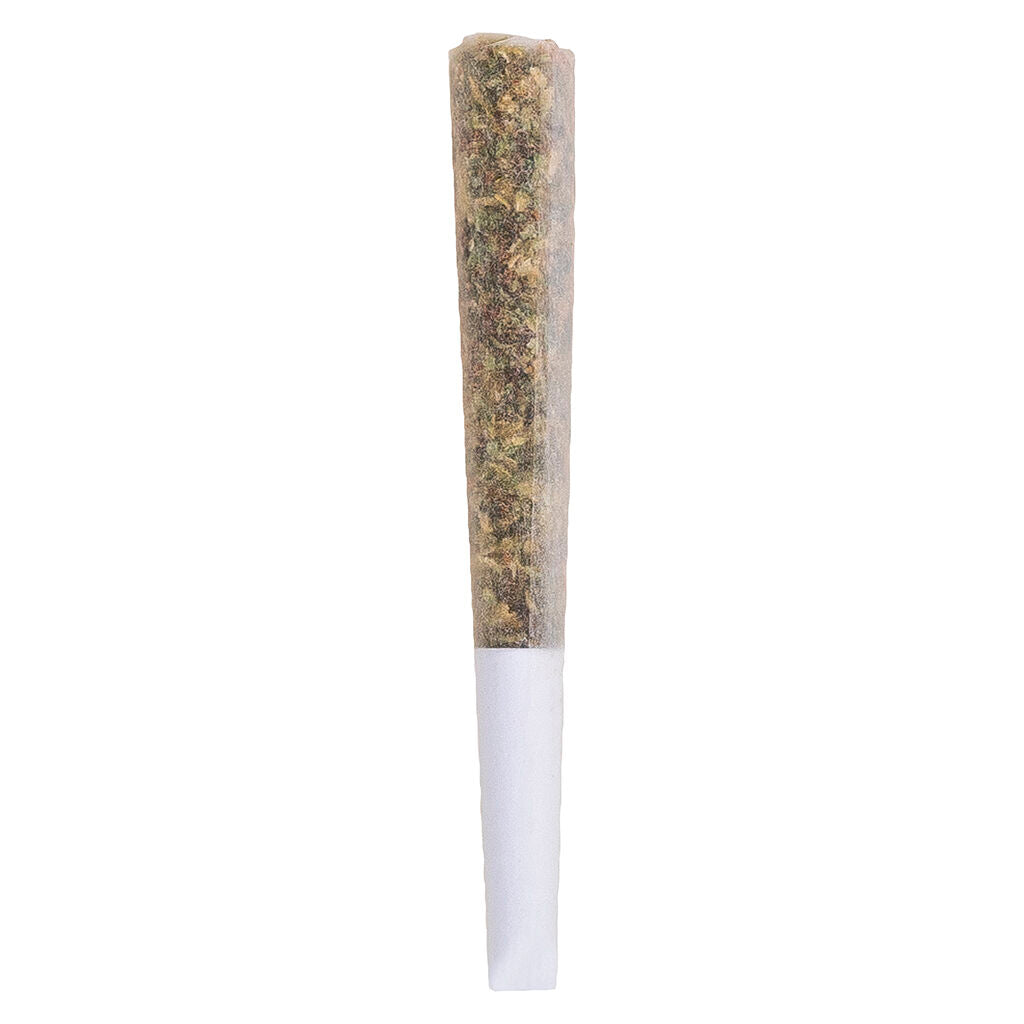 Double-Dip Live Rosin Core Infused Pre-Roll - 