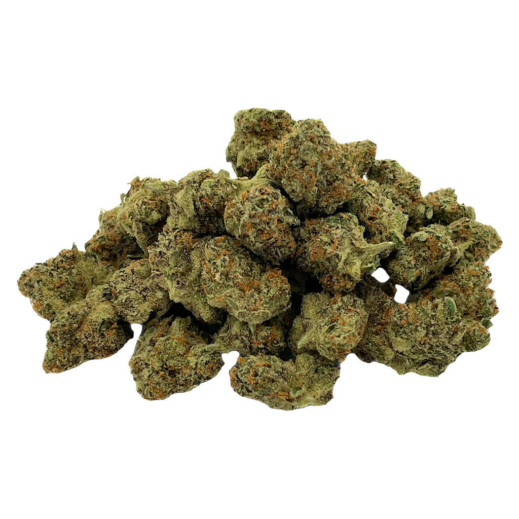 Mini Quadz Sativa - 