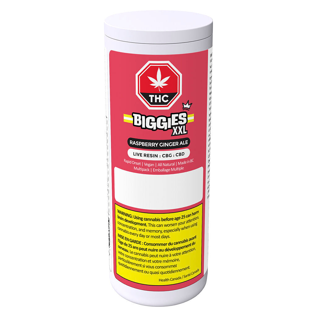 Raspberry Ginger Ale Multipack - 