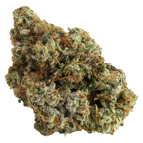 Photo Permanent Marker