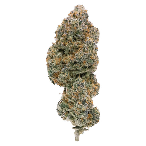 Photo Modified Supersonic