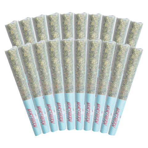 Photo Préroulé Northern Dub