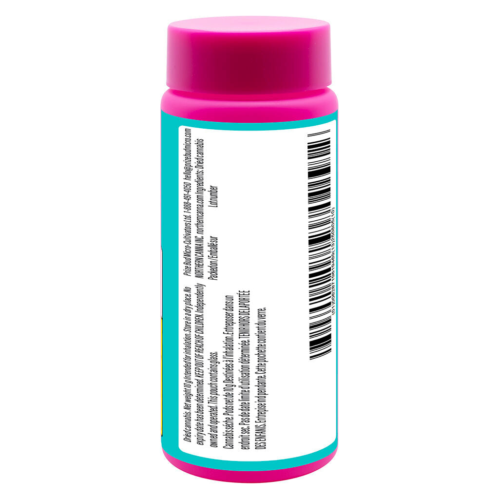 The Collective Pre-Roll - 