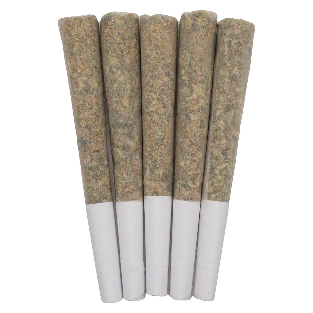 Exotics Pre-Roll