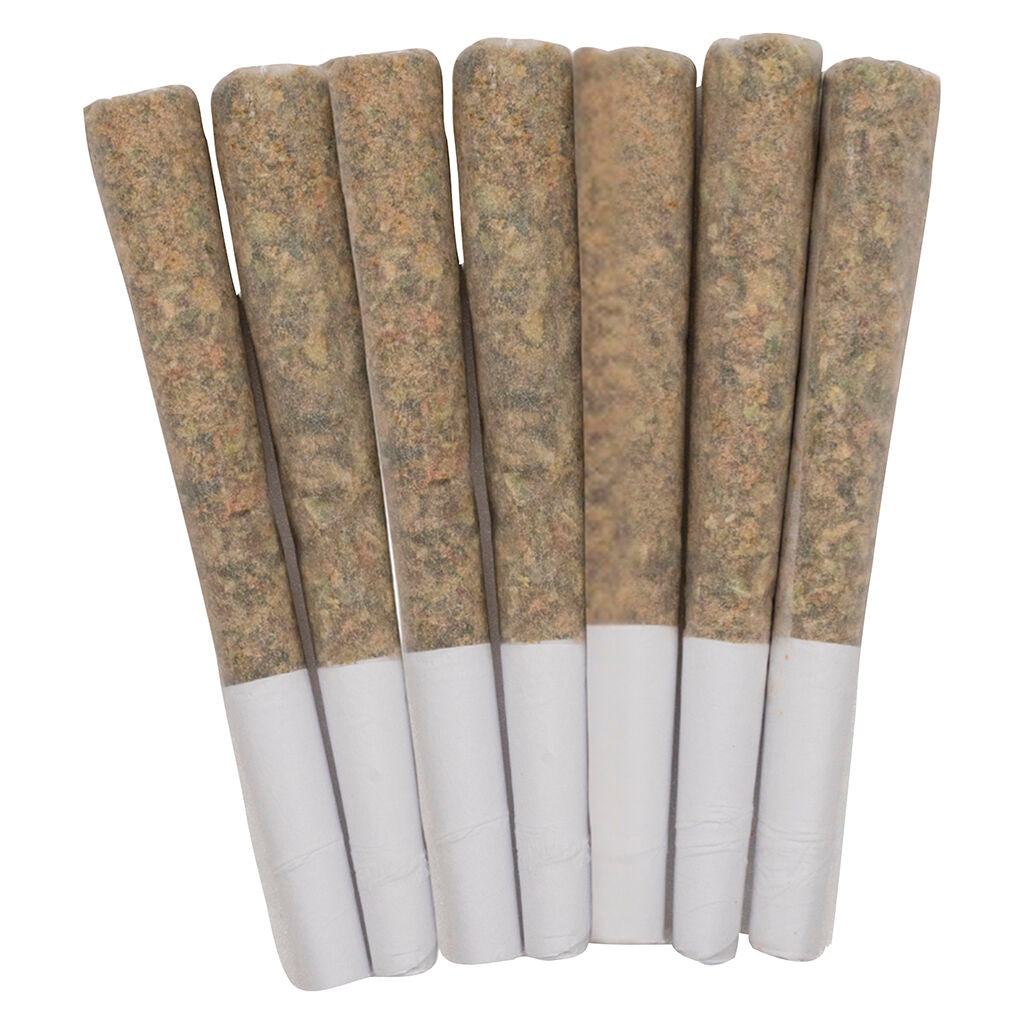 Exotics Pre-Roll - 