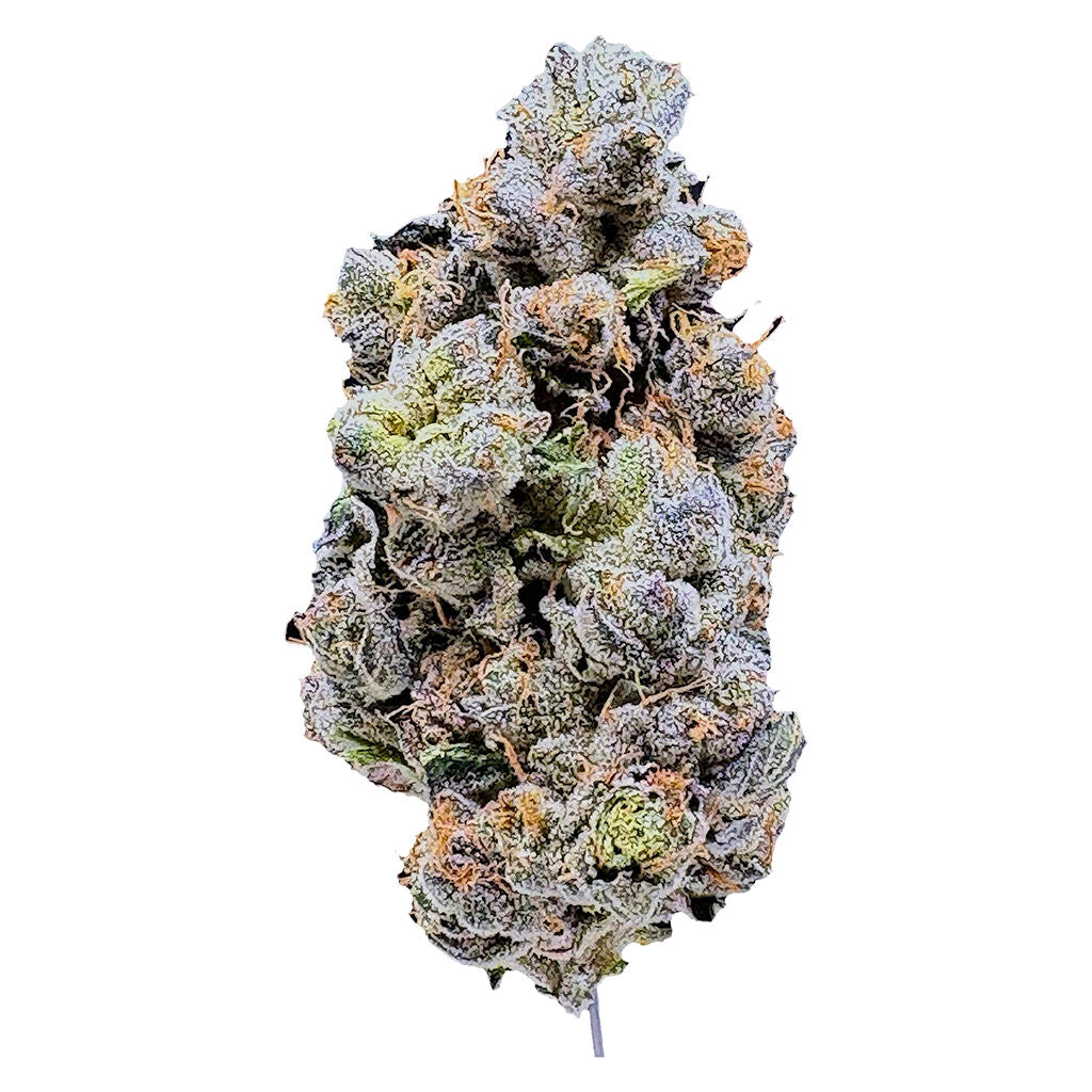 Platinum Blue Gellati - 