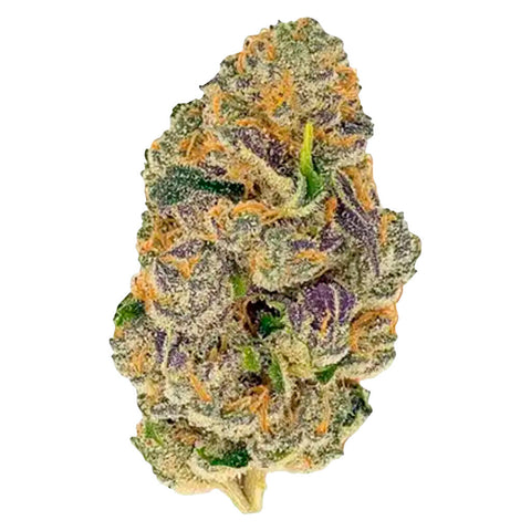 Photo Montreal St 14's