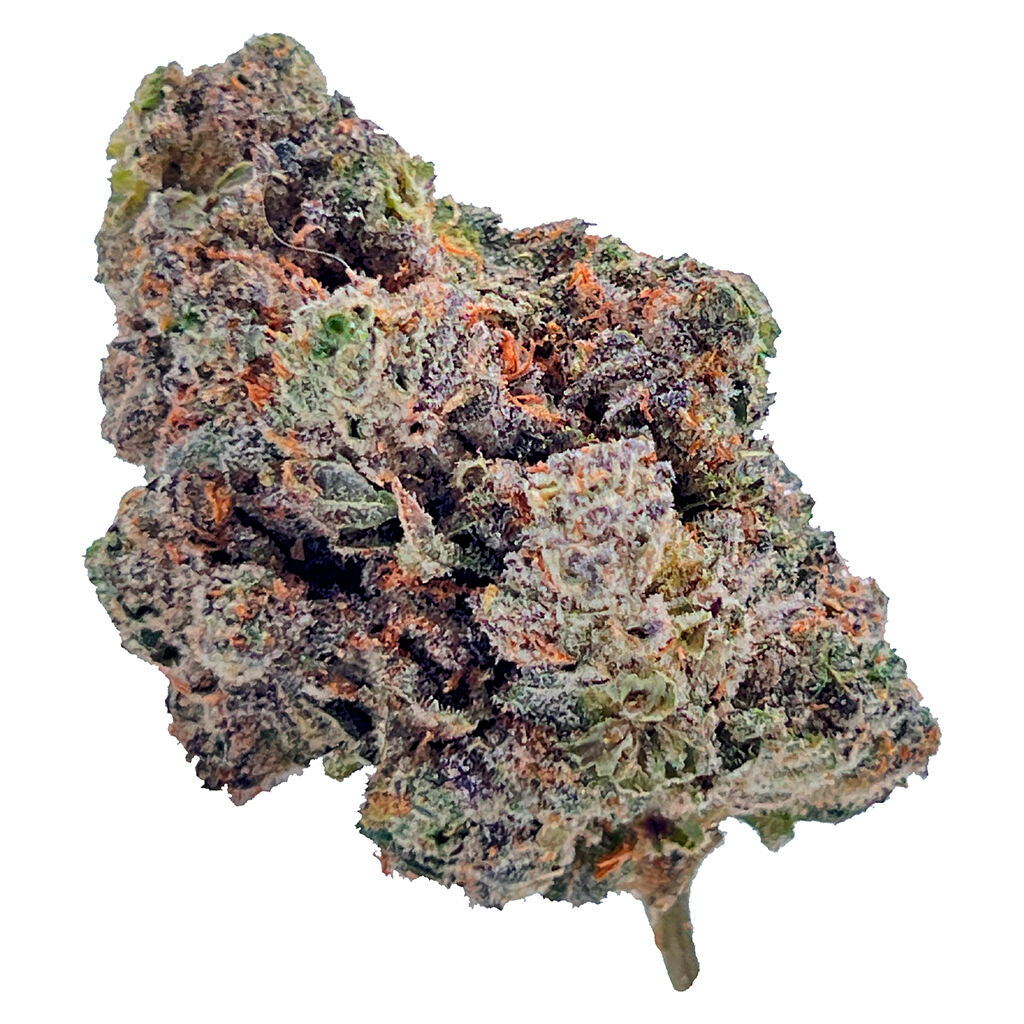 Royal Dive #4: Goofiez - 