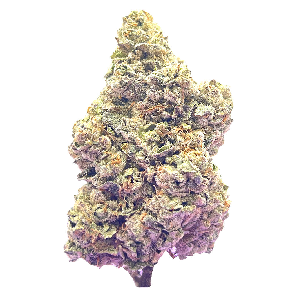 Royal Dive #7: Scarface OG - 