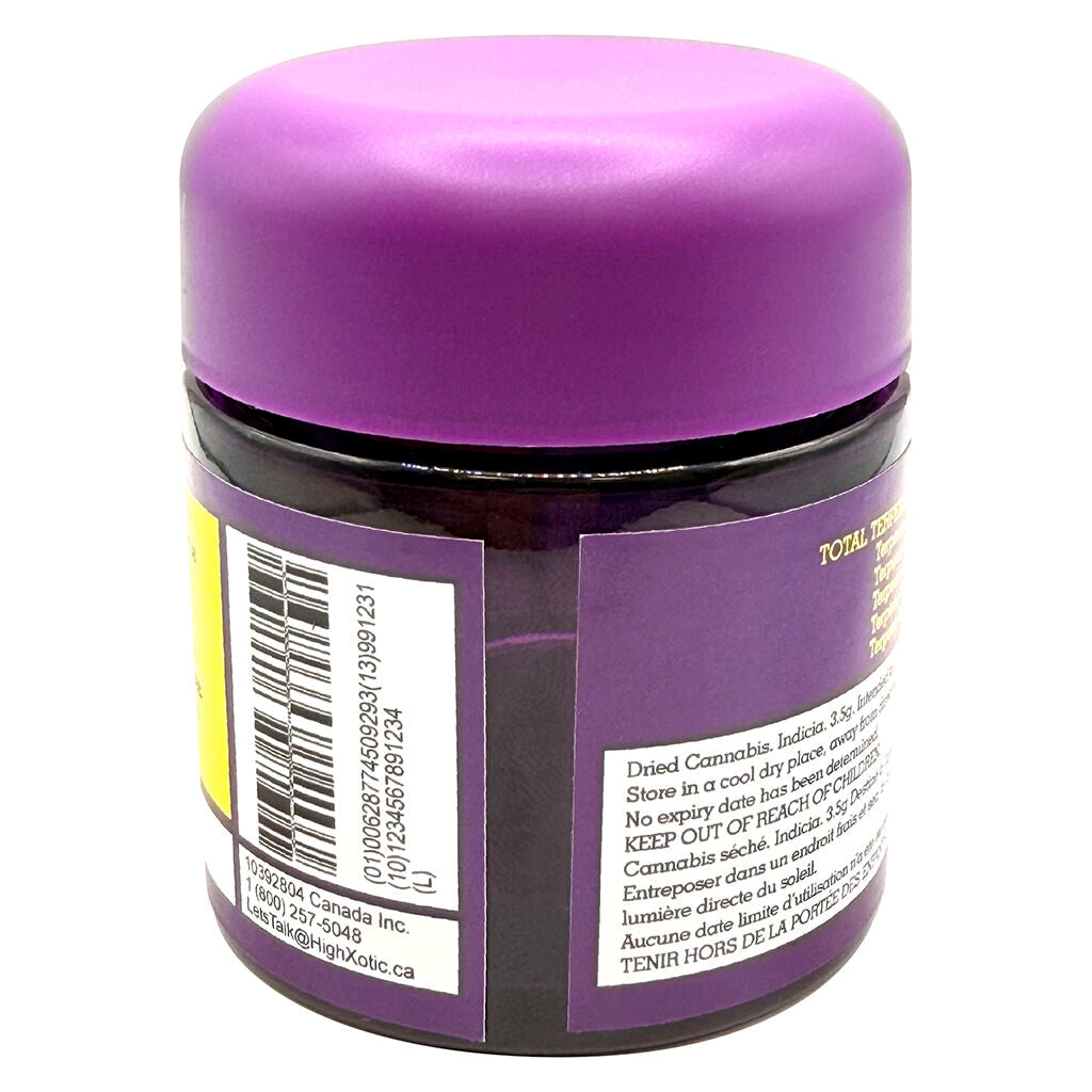 Royal Dive #7: Scarface OG - 