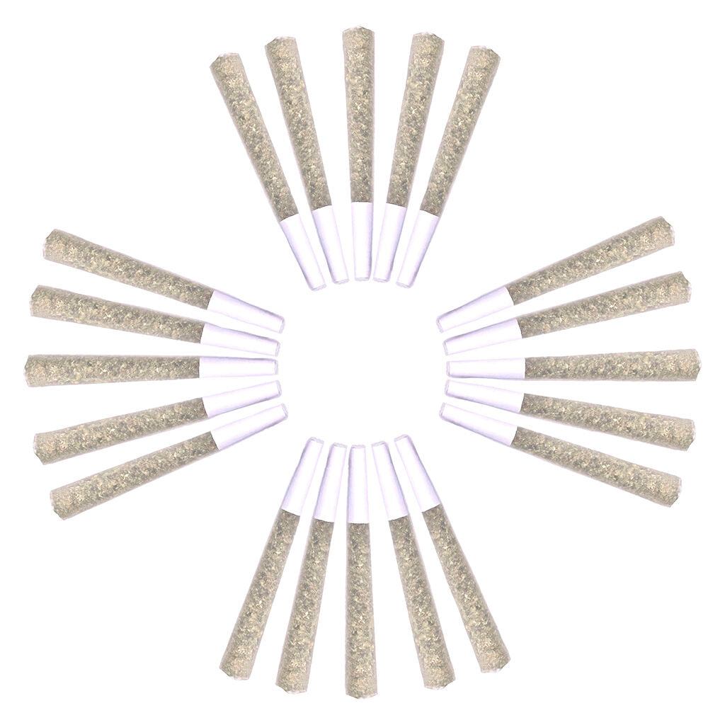 Royal Assembly: The Summit Pre-Roll - 