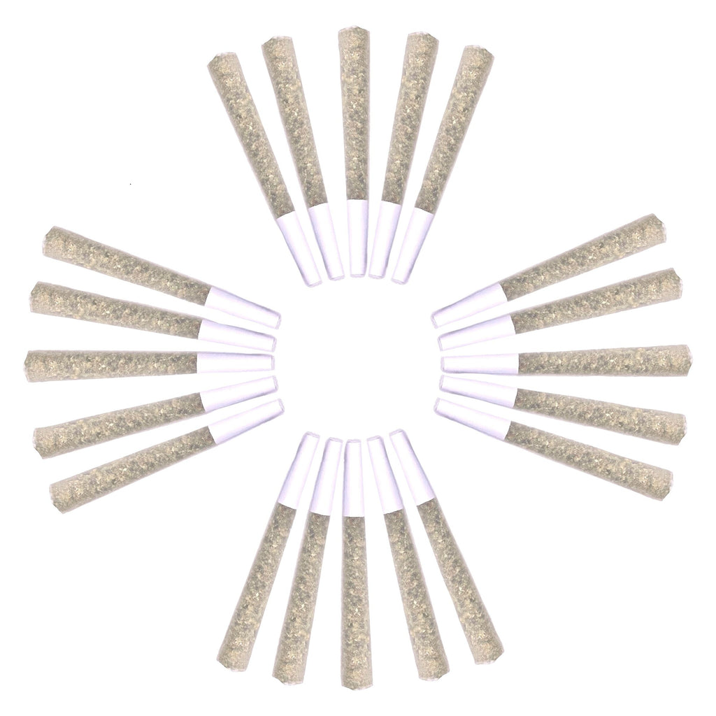 Royal Assembly: The Summit Pre-Roll - 