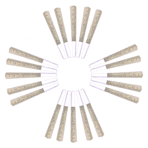 Photo Royal Assembly: The Summit Pre-Roll