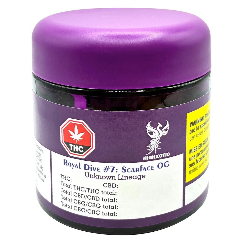 Royal Dive #7: Scarface OG - 