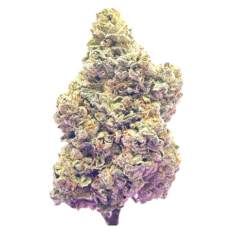 Photo Royal Dive #7: Scarface OG
