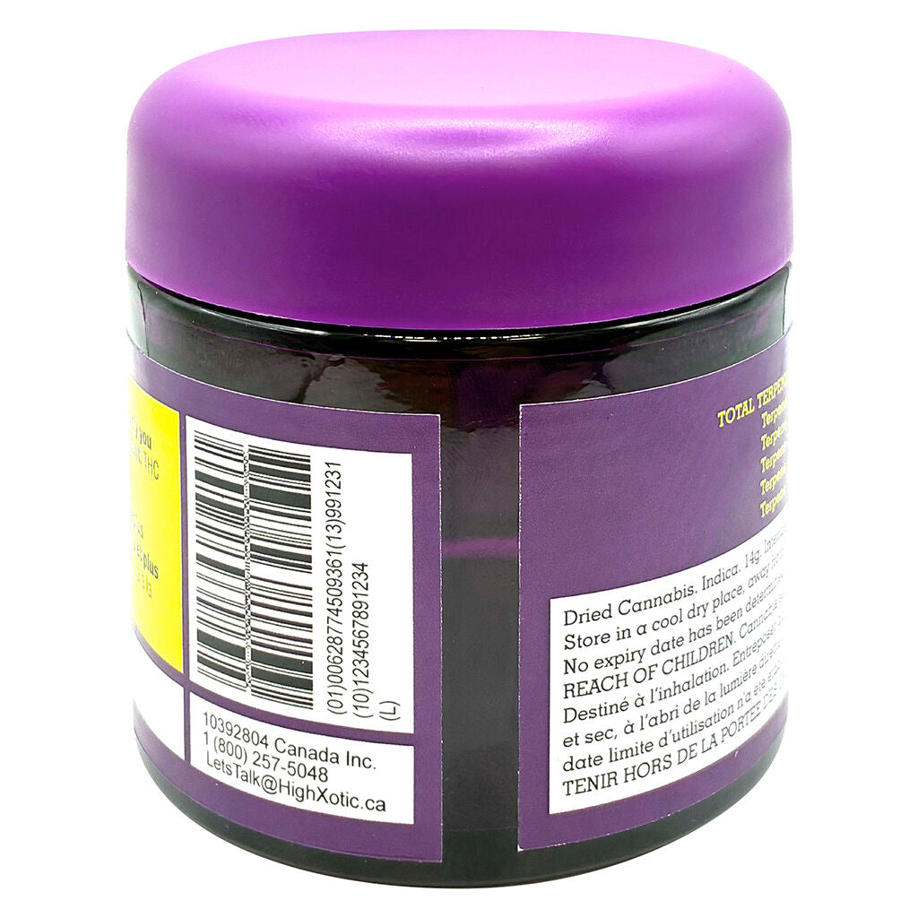 Royal Dive #7: Scarface OG - 