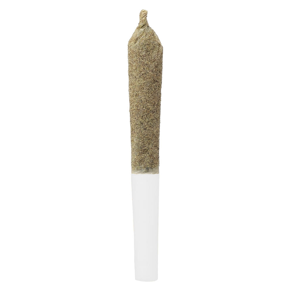 Infused Cherry Temple Pre-Roll - 