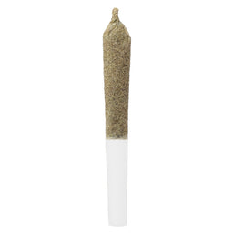 Photo Infused Cherry Temple Pre-Roll