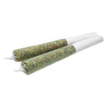 Papaya x Blue Power Pre-Roll