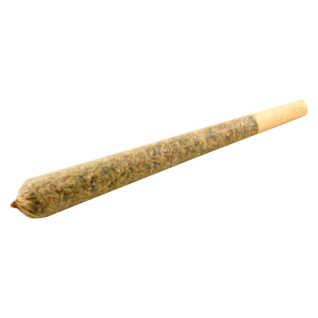 GO TIME Pre-Roll - 