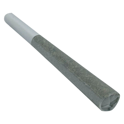 Photo Préroulé Rocket Booster