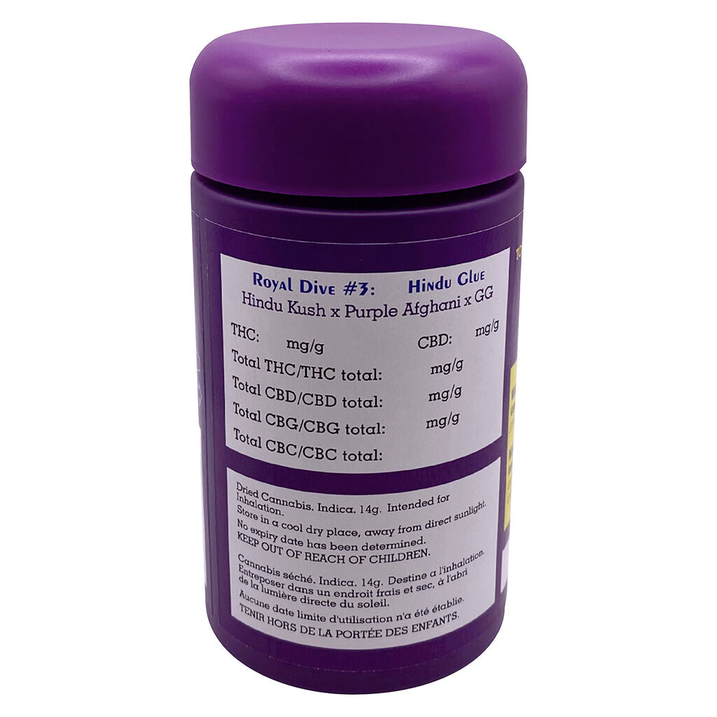 Royal Dive#3: Hindu Glue