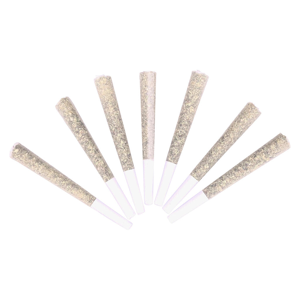 Hail Mary's Pre-roll