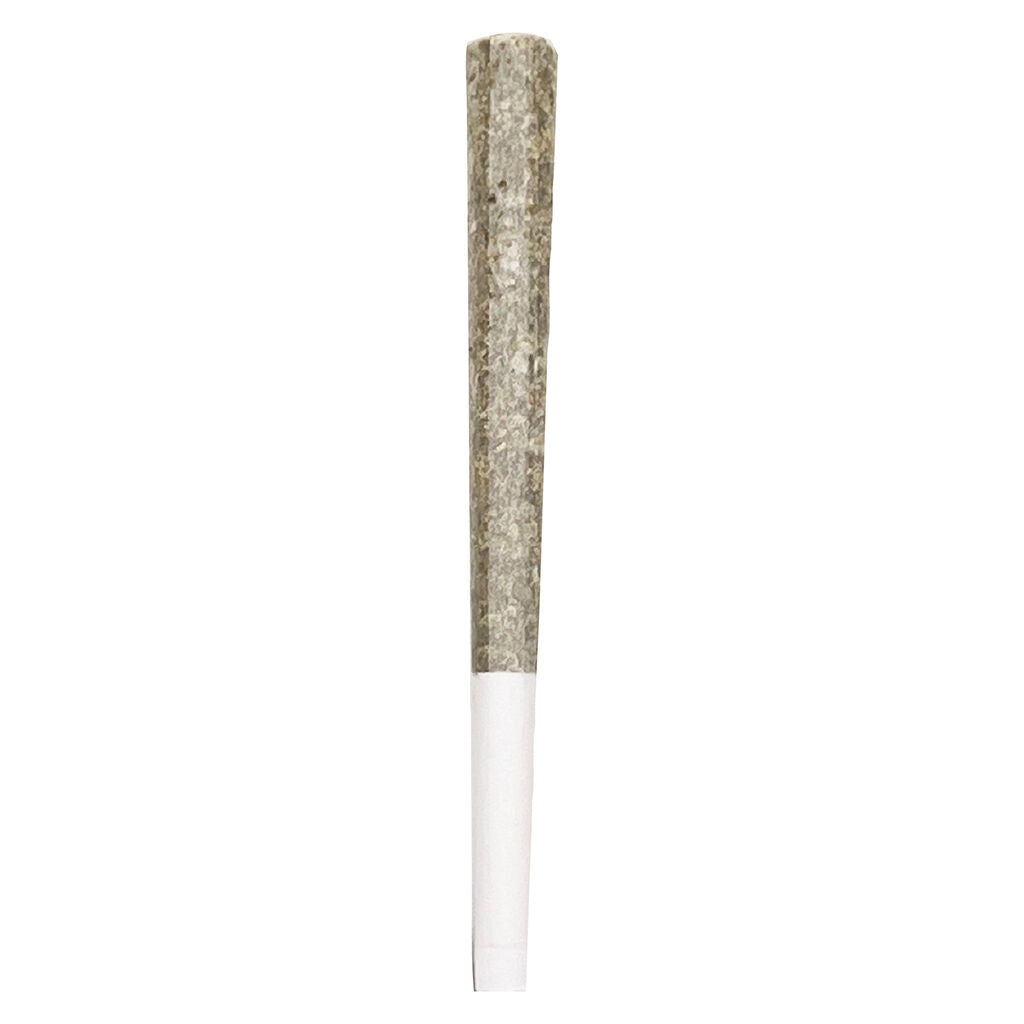 Royal One - Vault Series Pre-Roll - 