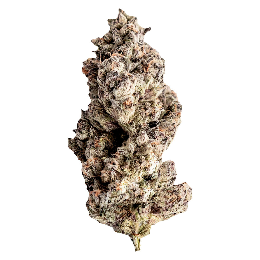 Seaweed Craft Red Velvet Ice Cream - 