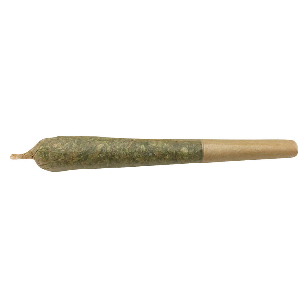 Future Island Pre-Roll - 