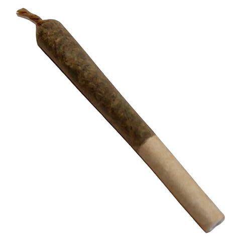 Photo Oreoz X Orange Punch Pre-Roll