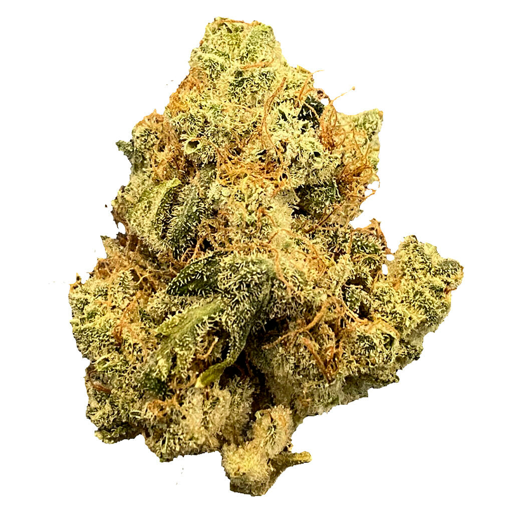 Mailman Strain: Ultraviolet Gmo - 